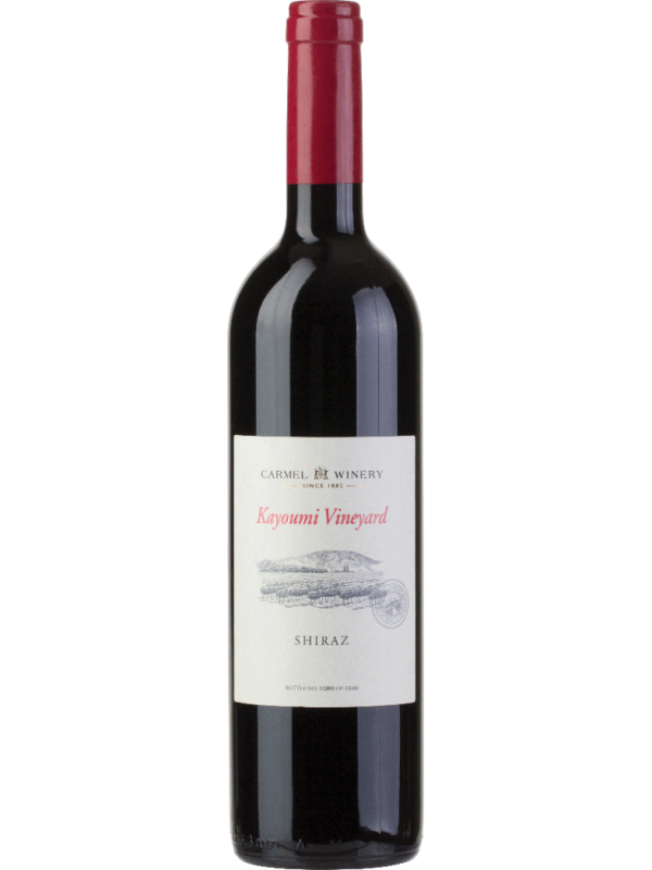 Carmel Kayoumi Shiraz 2013